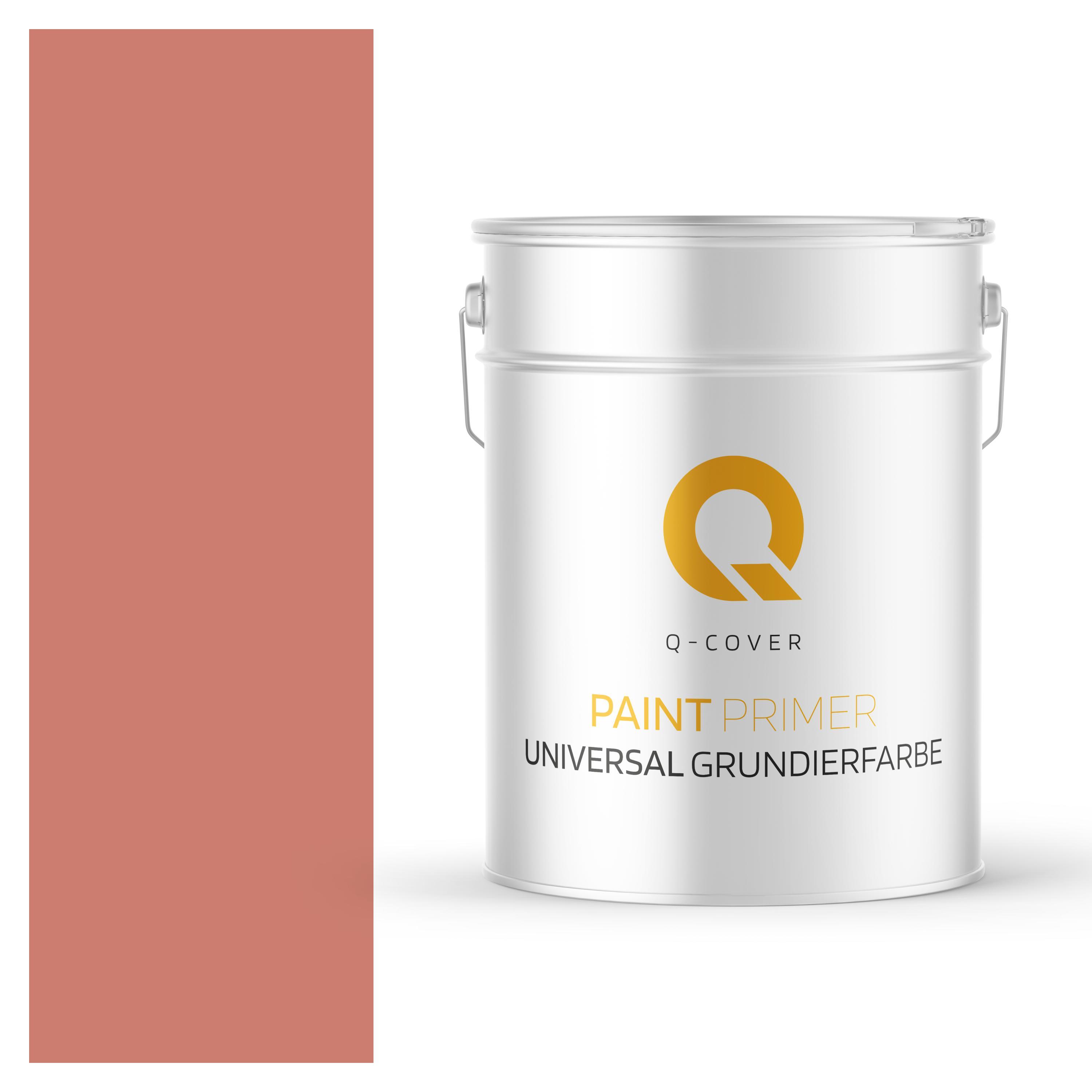 Q-Cover Grundierfarbe Lachs 10L | Universal Grundierung für Innen & Außen | Acrylatdispersion