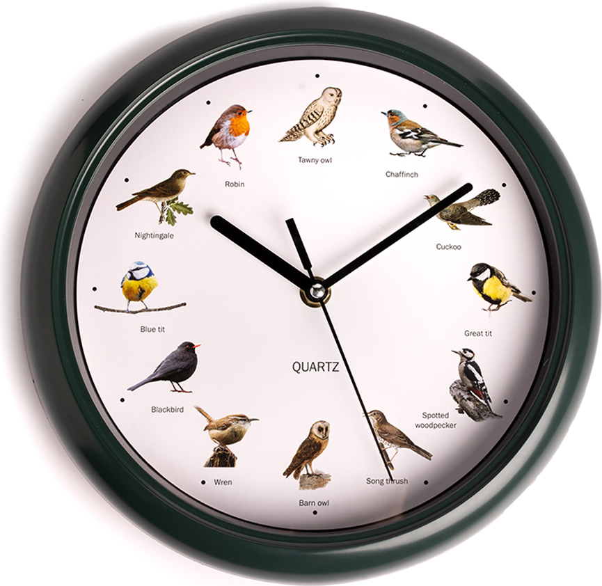 Nexxt Vogeluhr – Birdsong Clock mit 12 Vogelstimmen - Ø25 cm - Dunkelgrün BEDI CO231127