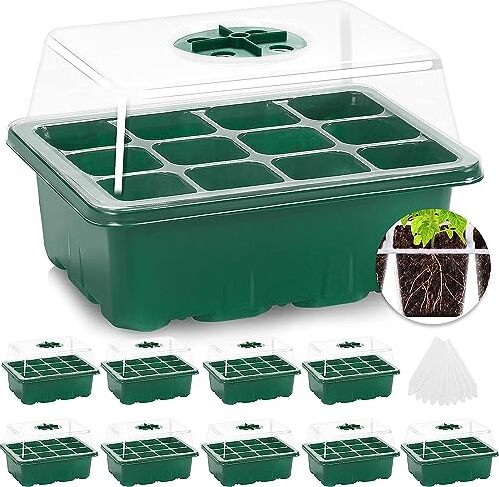 Mixc Indoor Gewächshaus -Propagator Box 10 Teile 120 Zellen Mini kleine Ausbreitungsschildplattenlüftung Bruchsicherer Deckel Sämlingsanlage, grün