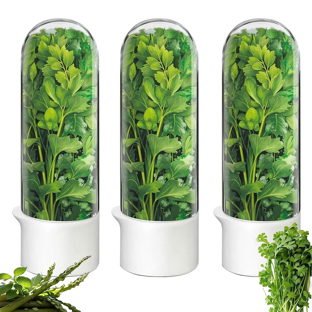 MEIYOU 3pcs Kräuter-Frischhaltebox,für frische Kräuter wie Koriander,Petersilie und Minze,hält Kräuter und Salat 2-3 Wochen frisch,ideal für den Kühlschrank KAUF-VIST-KF3530-024