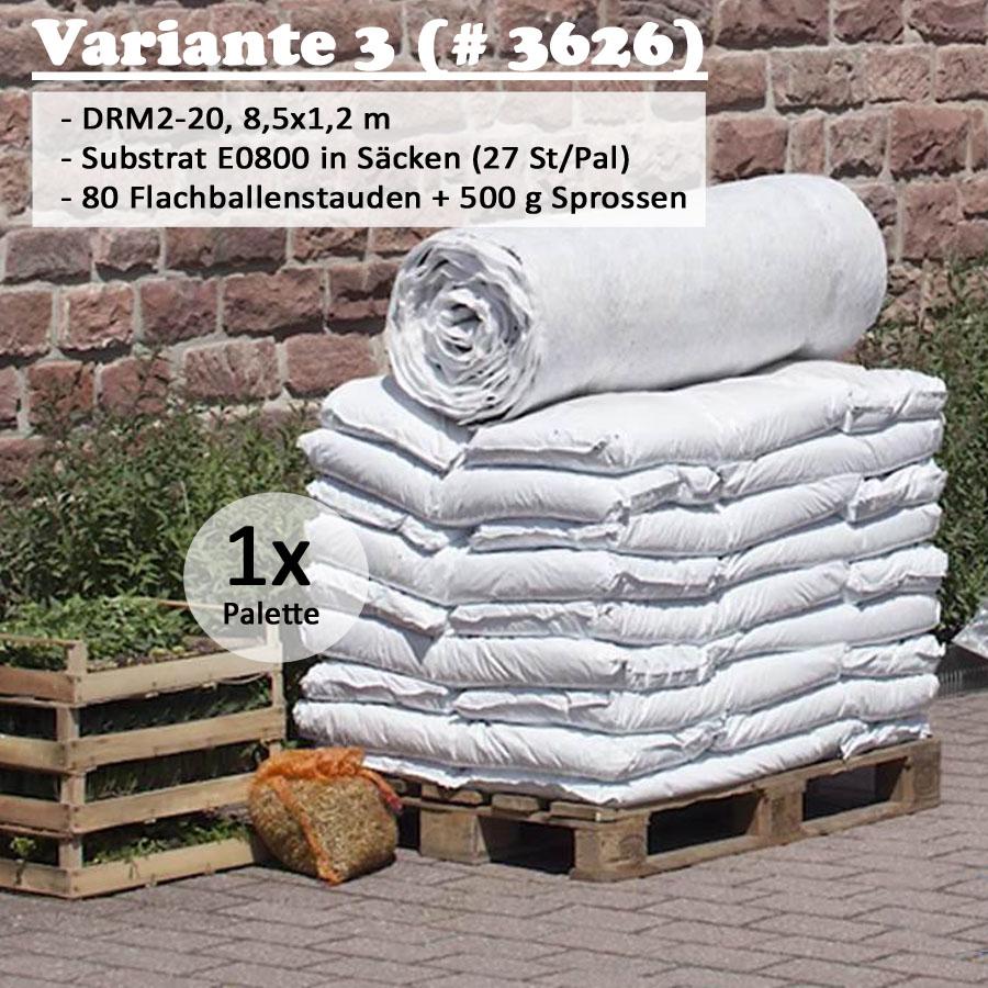 Kettinger Gründachpaket Dachbegrünung 10m² inkl. 1000g Sprossen + 100 Stauden, Substrat E0800 in Säcken #3704