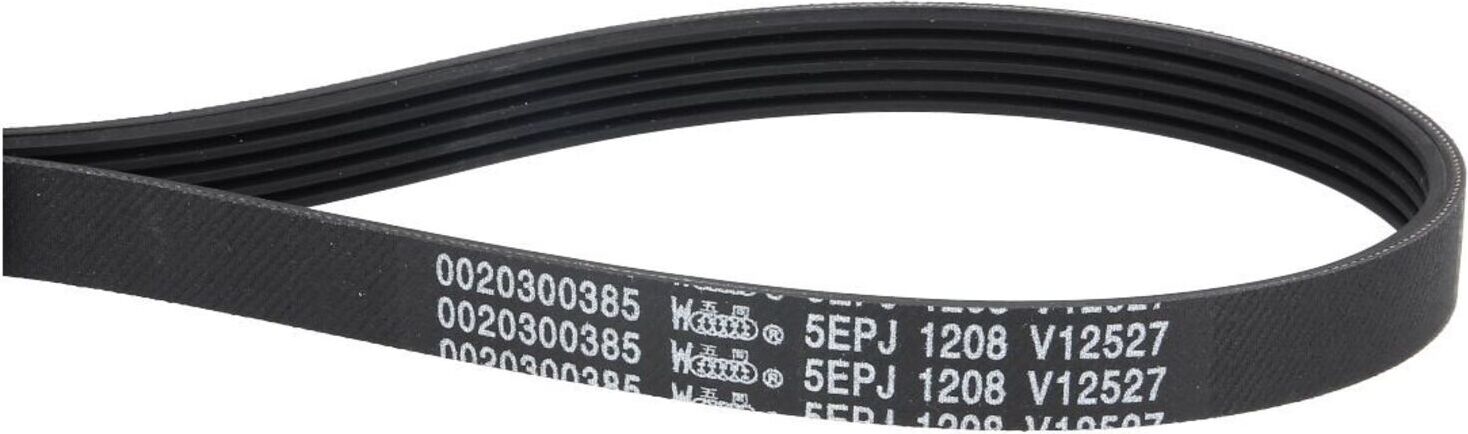 Haier Keilrippenriemen 49046318 für Waschmaschine | Mehrrippenriemen, Rippenriemen