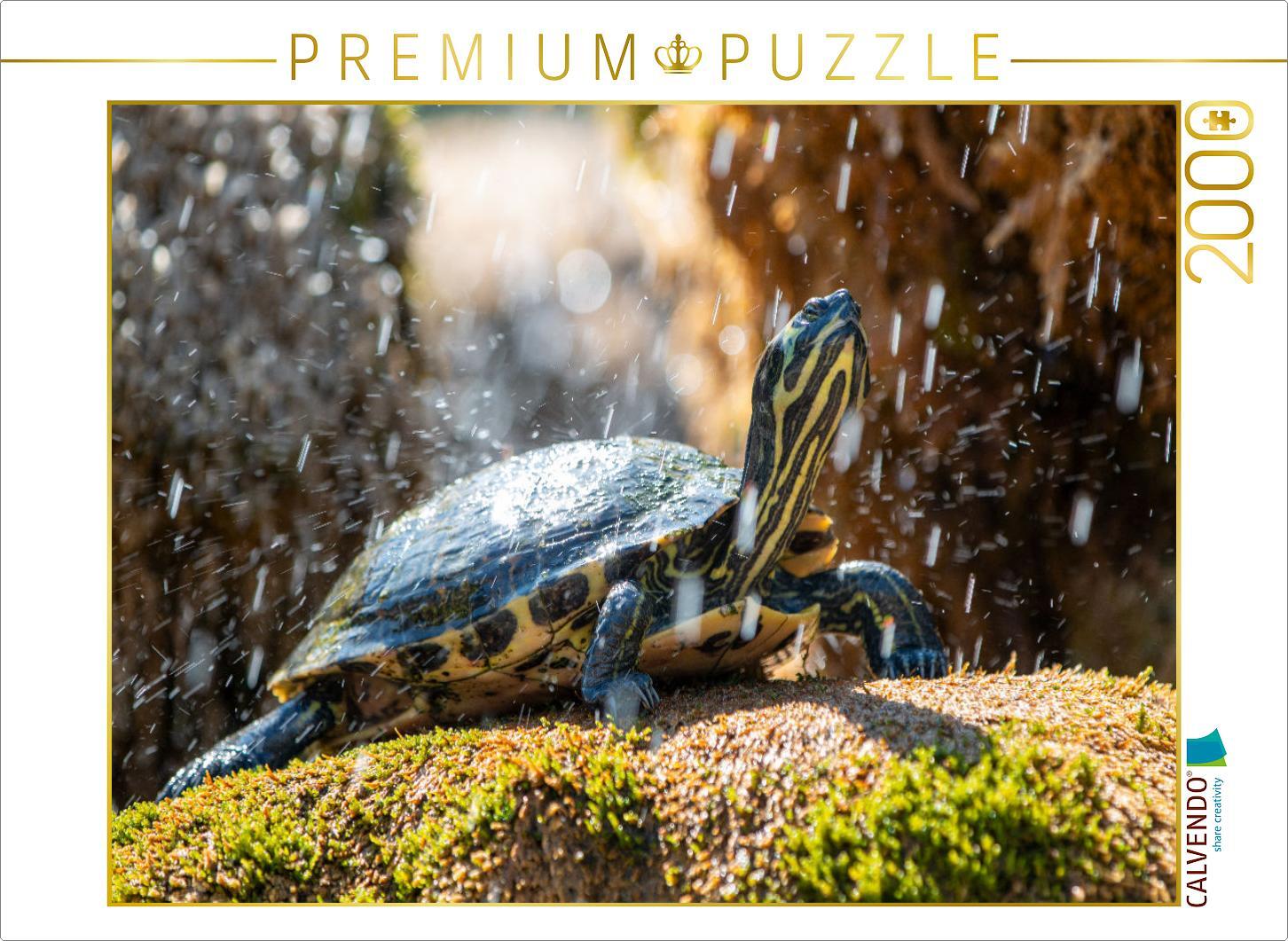 CALVENDO Puzzle Gelbbauch-Schmuckschildkröte im Schildkrötenbrunnen in ibenik | 2000 Teile Lege-Größe 90x67cm Foto-Puzzle für glückliche Stunden