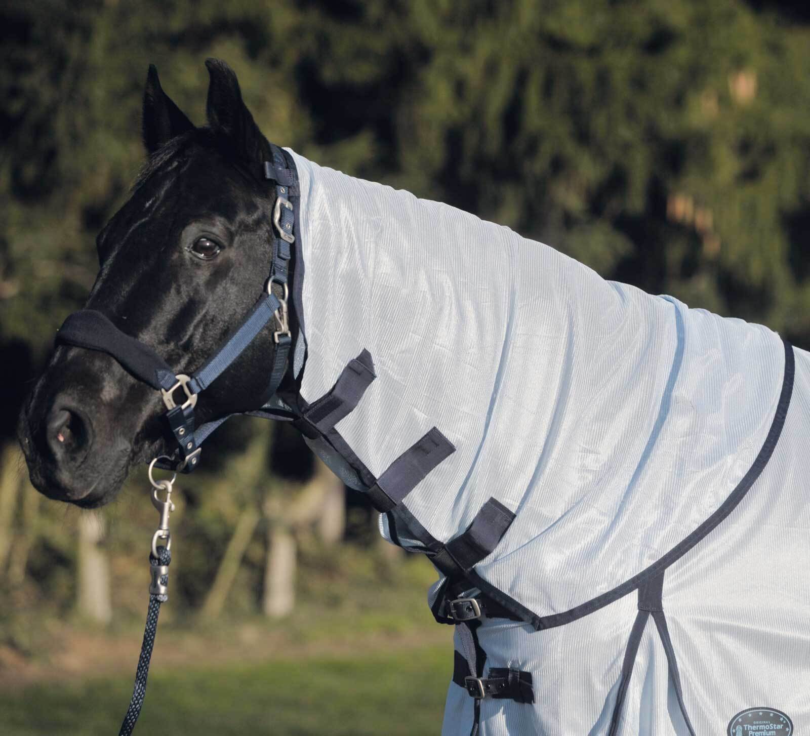 Waldhausen Neck Protect Fliegender Teppich Blau Cob Blau Cob 63144052-VB