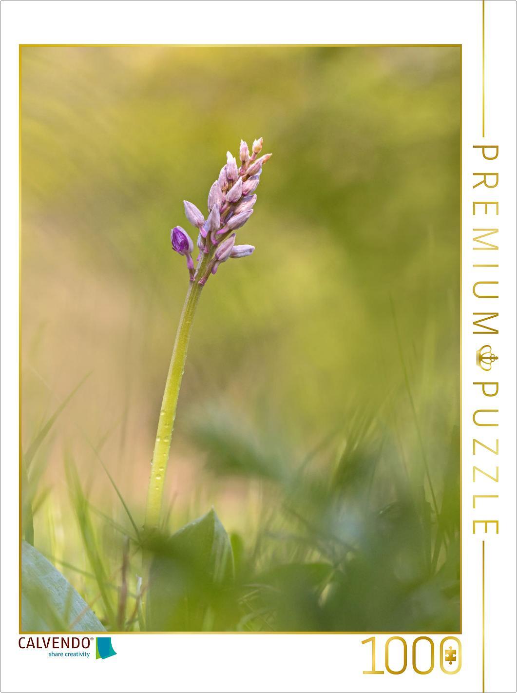 CALVENDO Puzzle Helm-Knabenkraut 1000 Teile Puzzle hoch | 1000 Teile Lege-Größe 64x48cm Foto-Puzzle für glückliche Stunden