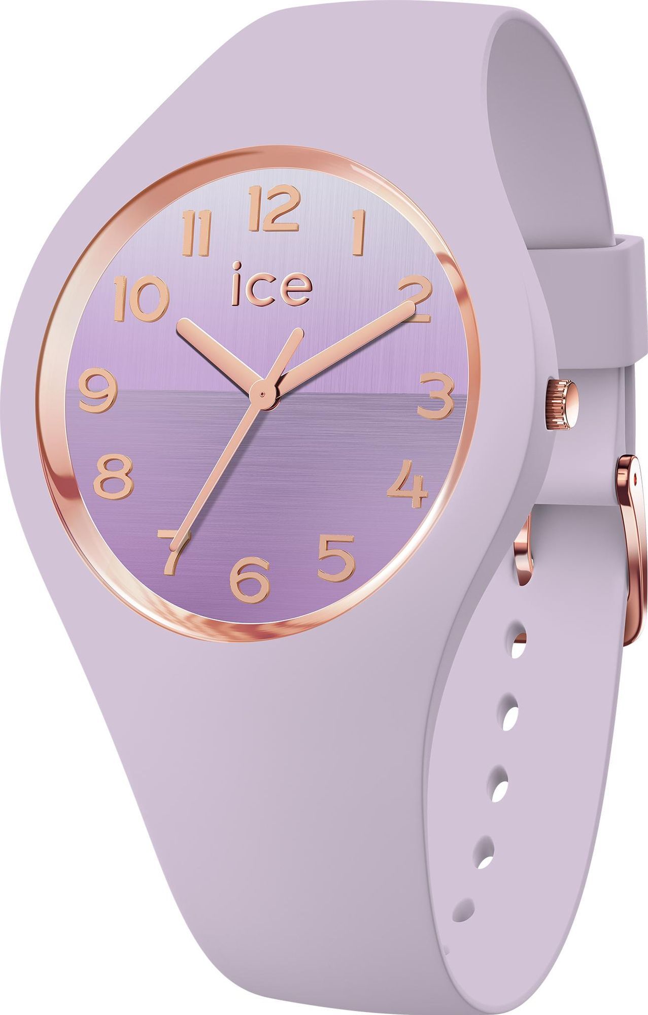 Hodinky Ice Watch ICE horizon 021359 Dámske náramkové hodinky