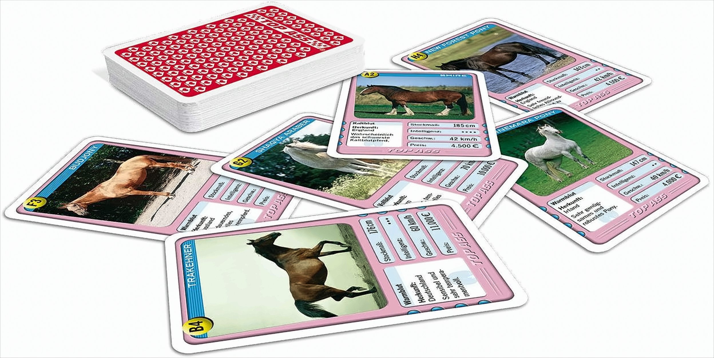 ASS-Altenburger ASS Altenburger ASS TOP ASS Pferde. Kartenspiel 22571991
