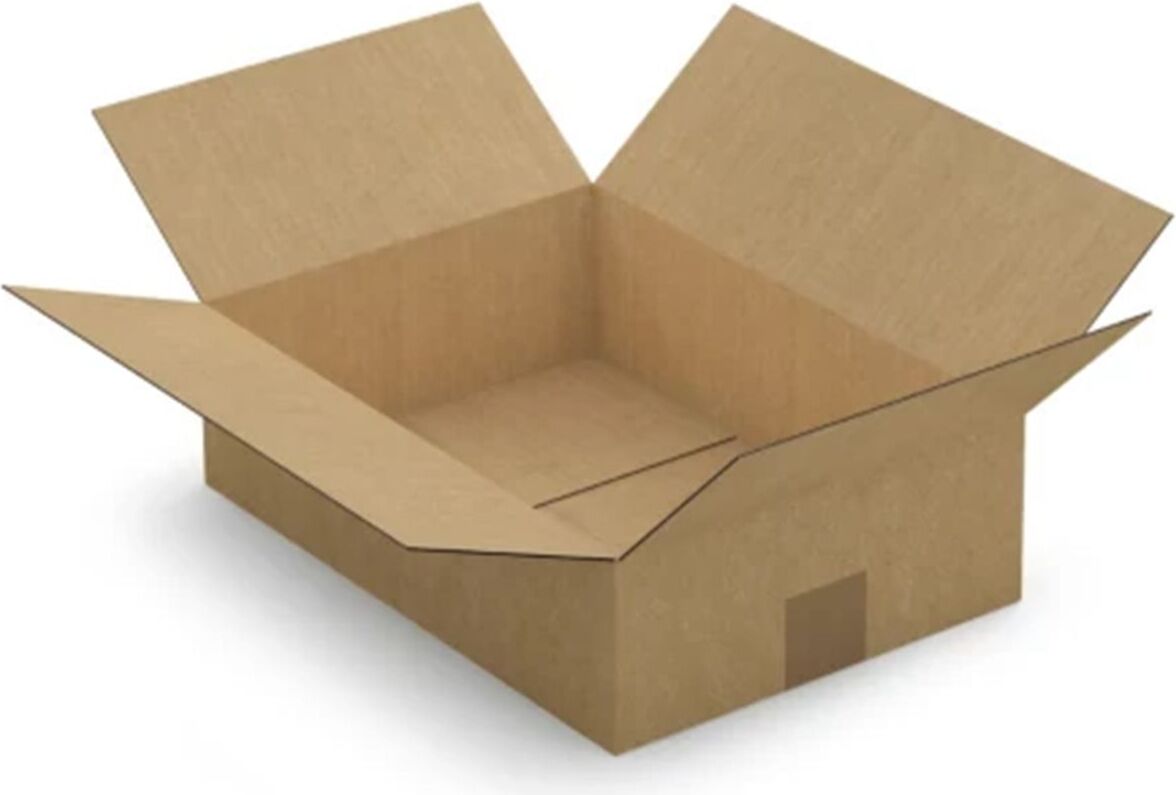 raja Verpackungskarton 35 x 25 x 10 cm
