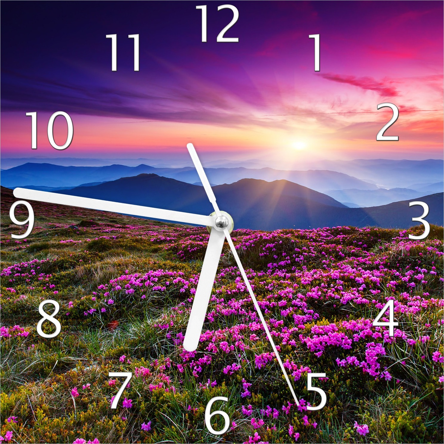 Wallario Design Wanduhr Blumenbedeckte Wiese bei Sonnenuntergang aus Echtglas, Größe 20 x 20 cm guk0525-2020