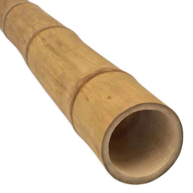 gobamboo s.r.o. Bambusstange Guadua Ø 7-9 cm x 100 cm