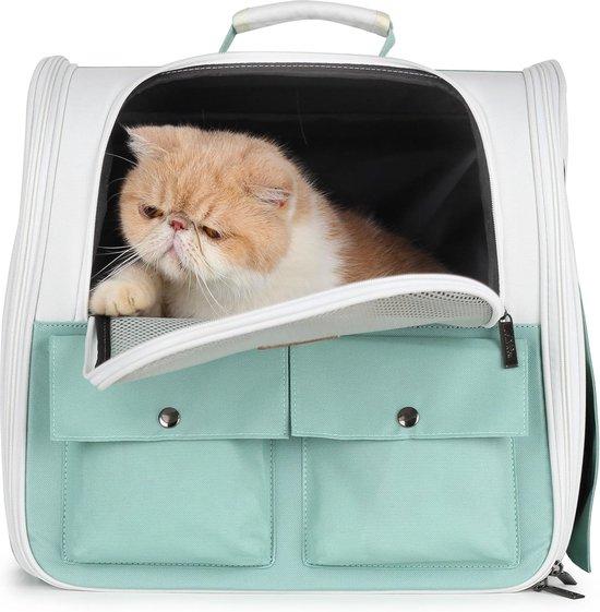 Famanu Hunde-Rucksack - Für Katzen, kleine Hunde und Welpen - Genehmigt von Fluggesellschaften - Grün SHSHOP