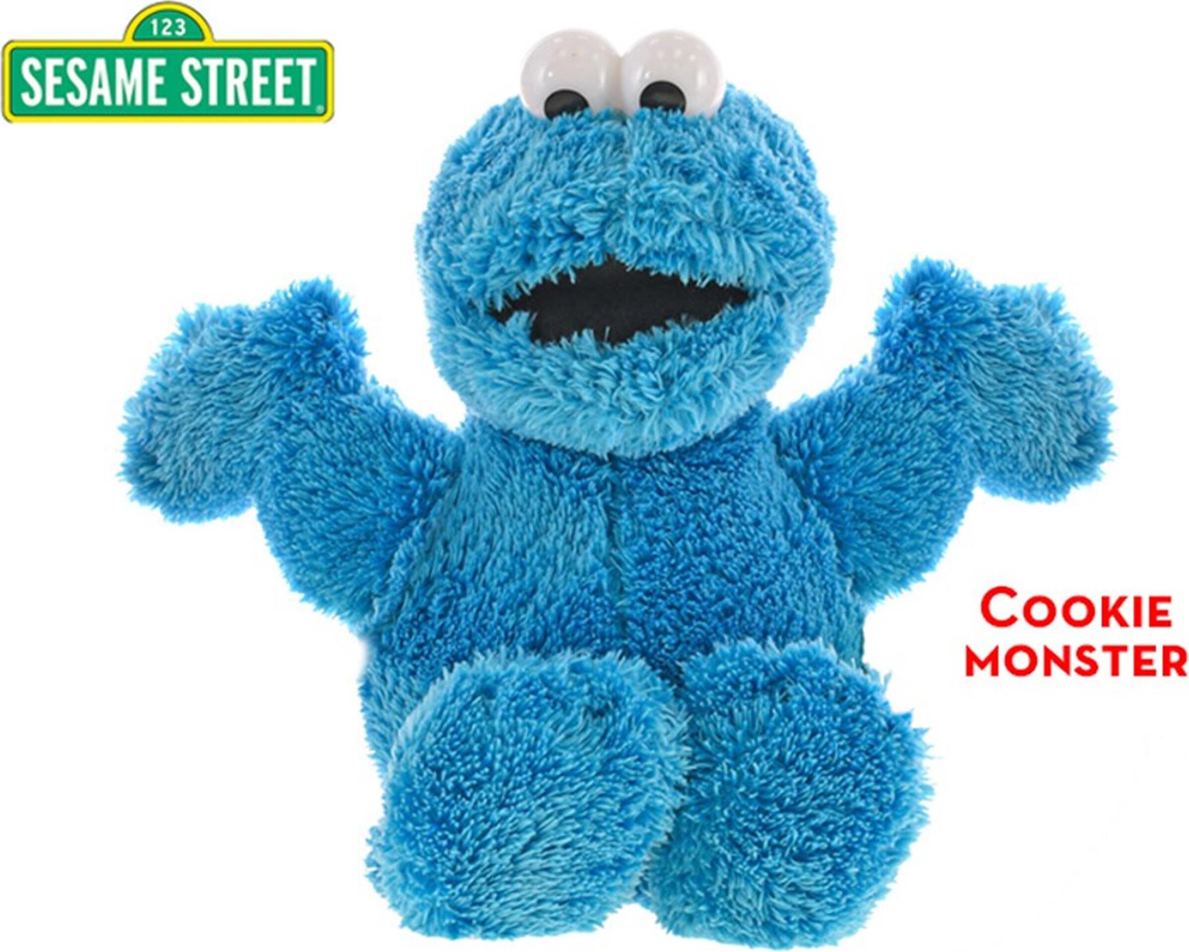PLAYSKOOL SESAME STREET SESAME STREET PALS - BERT