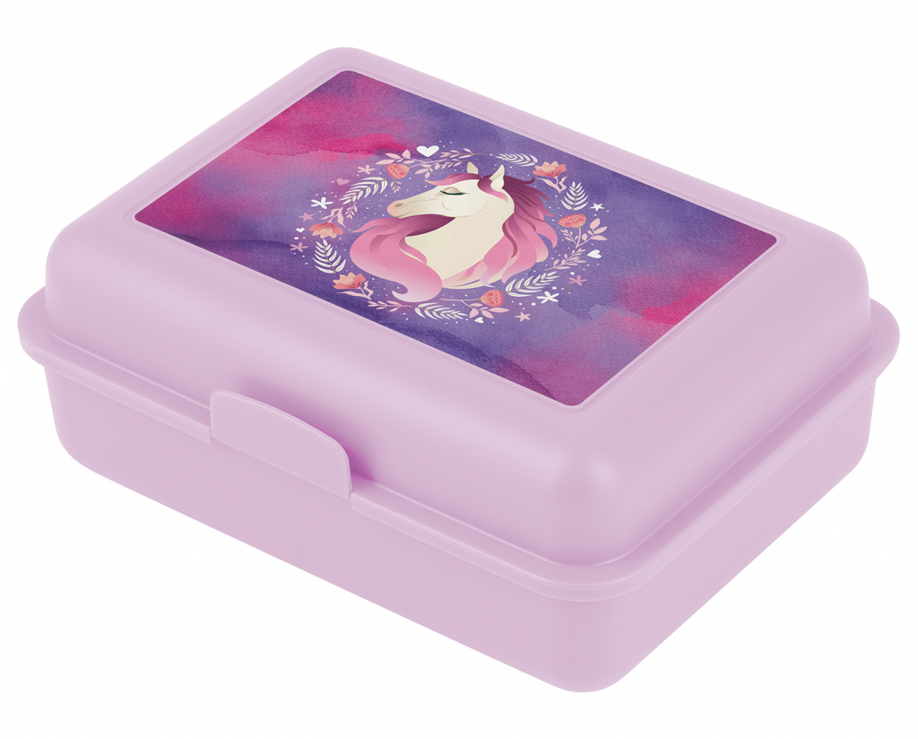 Disney Frozen Brotdose Lunchbox Brotzeitbox Brotbox Dose Vesperbox Kindergarten 