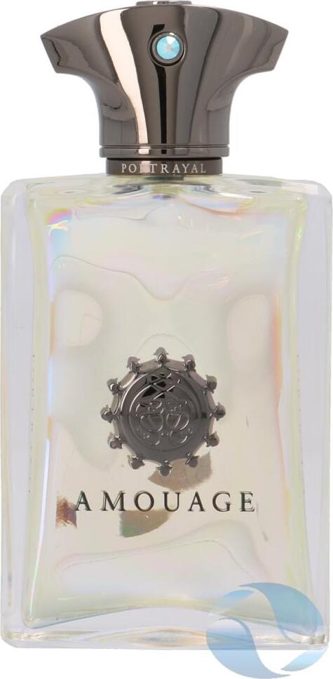 Amouage Portrayal parfumovaná voda pre mužov 100 ml