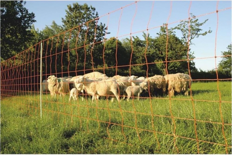 Fritz Göbel Euro Netz Plus 106/2 25 m Schafe Ziegen Lämmer Weidezaun