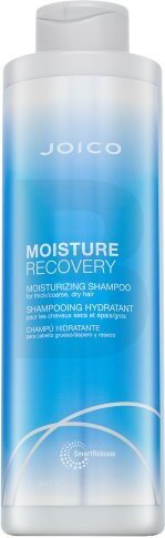 Joico Moisture Recovery Shampoo Pflegeshampoo für trockenes Haar 1000 ml