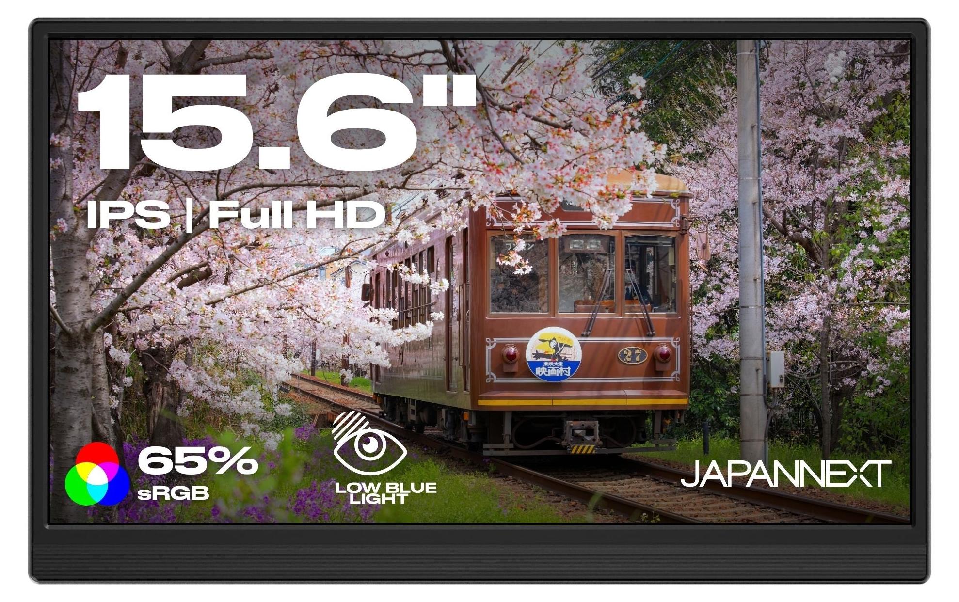 JAPANNEXT 39,6cm JN-MD-i156F-LE MiniHDMI/USB-C FHD
