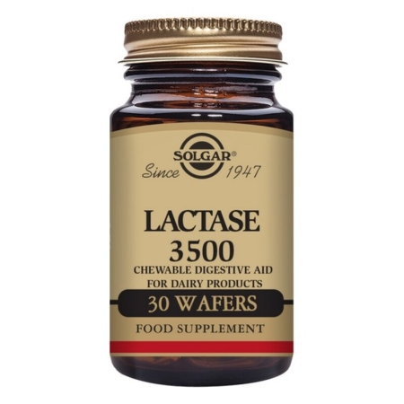 Big Buy Cooking Solgar Laktase Kautabletten 3500 FCC-Einheiten, 30 Tabletten für laktosehaltige Mahlzeiten