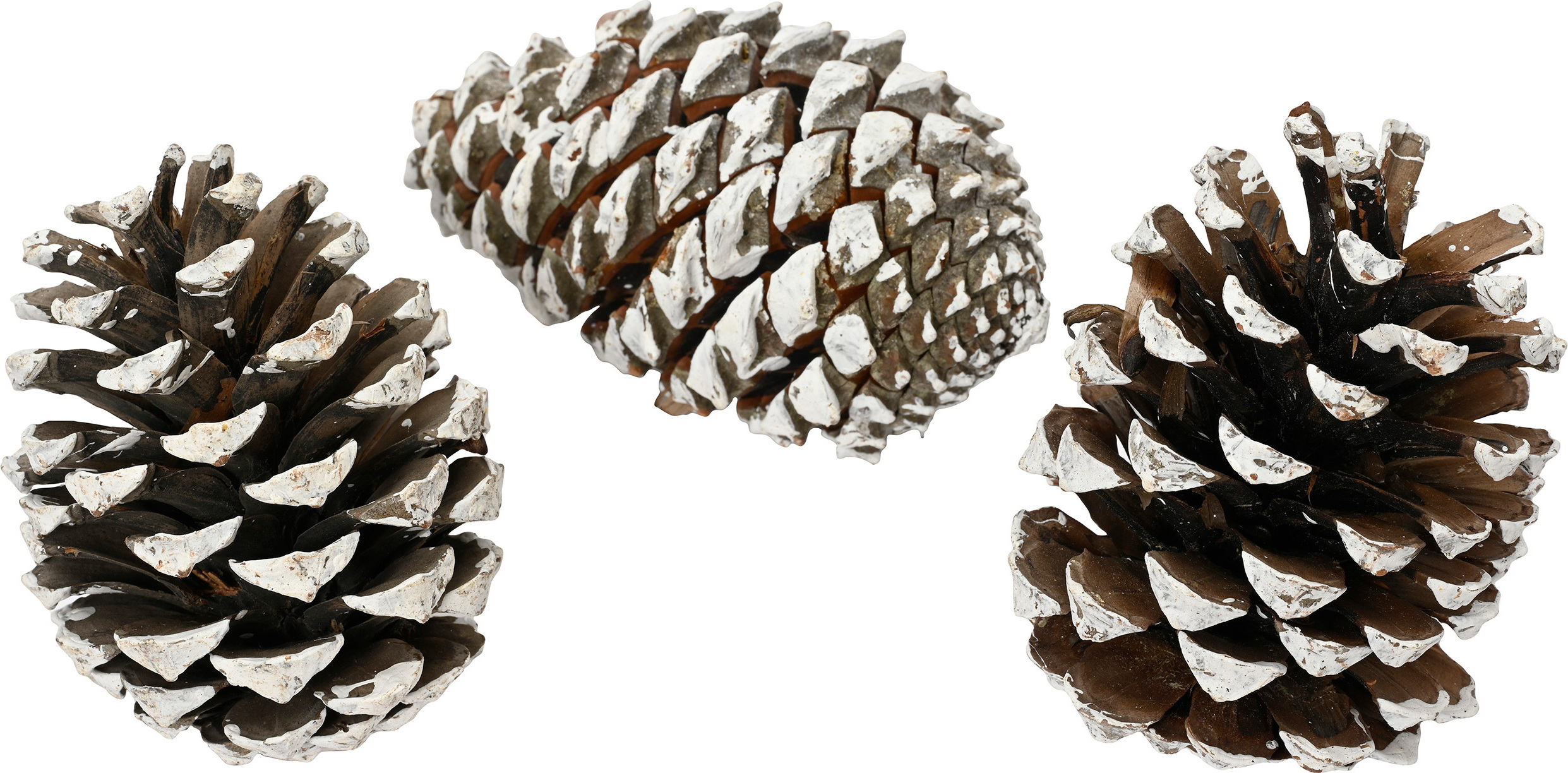 Christmas Decoration Tannenzapfen Deko Naturzapfen beschneit 3er Set Natur / Braun 707396