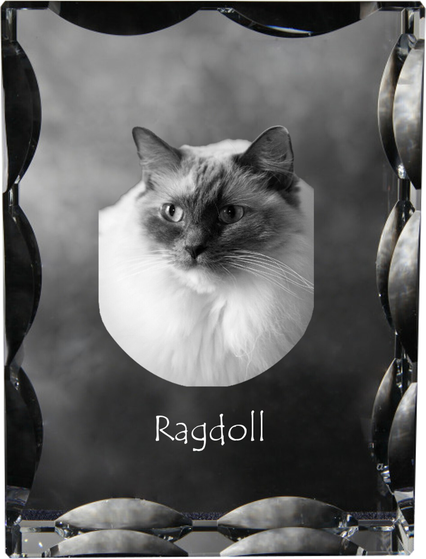 Ragdoll - Kristall mit Katzenbild, Glasstatuette mit Bild, einzigartiger Bilderrahmen der Marke Art-Dog