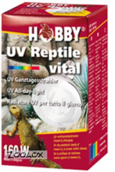 HOBBY Terraristik UV Reptile vital, 100 W, 1 Stück(e), 4325 K, 848,5 lm, Box 37316