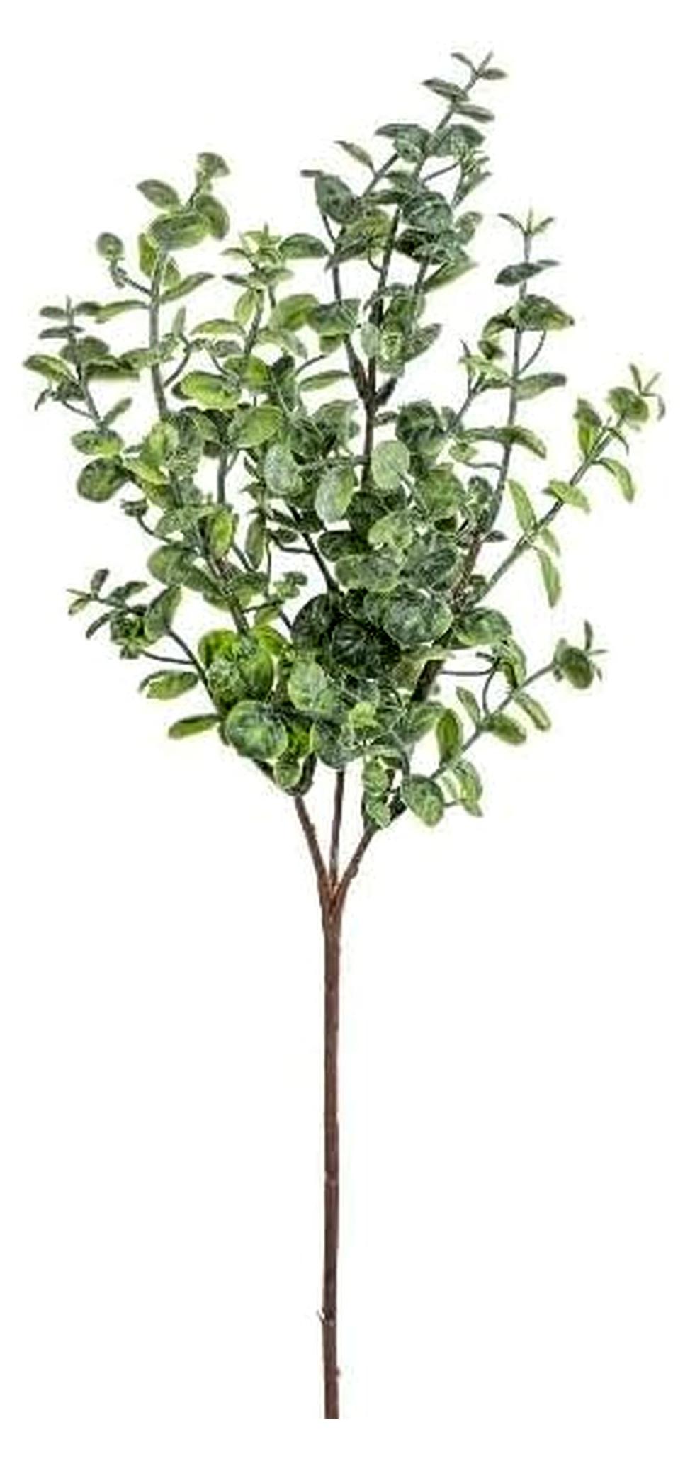 Markenlos .de Künstlicher Zweig Eukalyptus PRAVEN, grün, 45cm - Kunst Eukalyptuszweig
