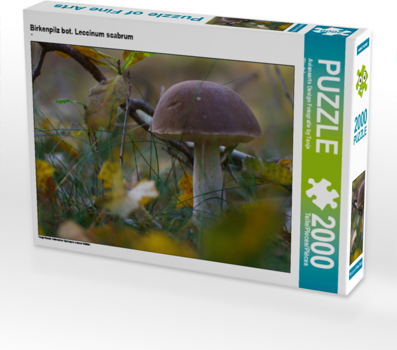 CALVENDO Puzzle Birkenpilz bot. Leccinum scabrum 2000 Teile Puzzle quer | 2000 Teile Lege-Größe 90x67cm Foto-Puzzle für glückliche Stunden