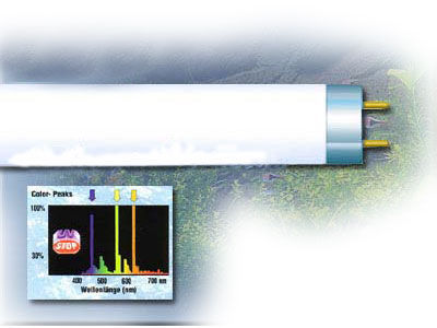 Dennerle TROCAL T8 Amazon-Day 1500 mm (58 W)