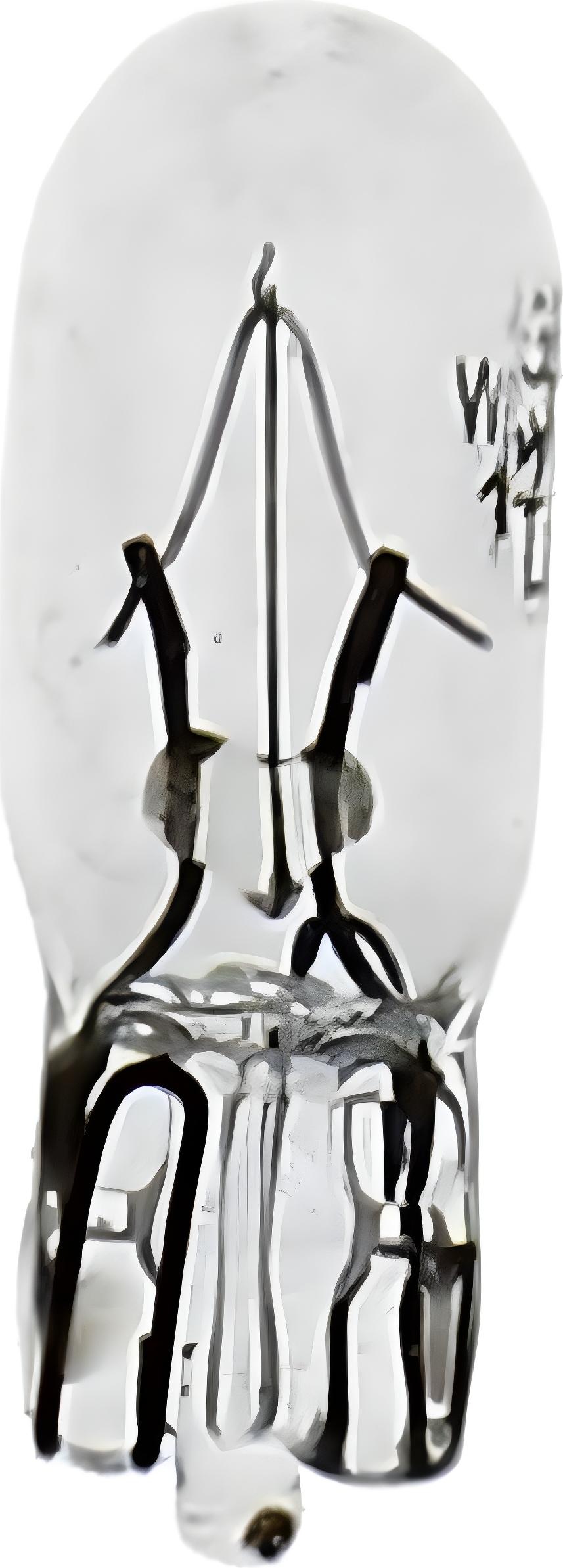 Lampe JMP 12V3W W2,1x6,5D 1 Stück 705.08.66