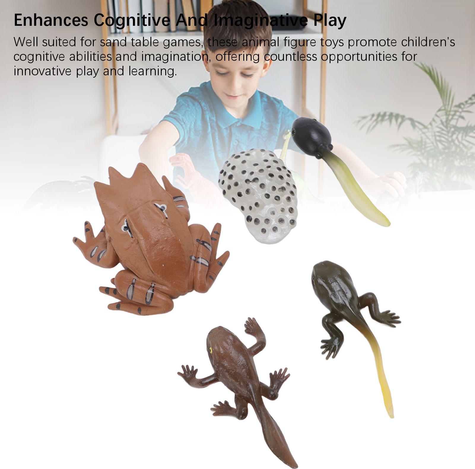 Gistuch Tierfigur Spielzeug, PVC, kompakt, realistisch, für Kinder, kognitiver Wachstumszyklus, Modell, Froschspielzeug für Zuhause