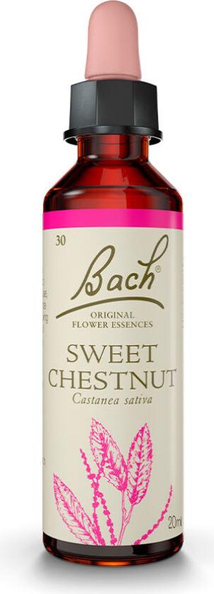 Bach Sweet Chestnut ( Edelkastanie) 20 Ml