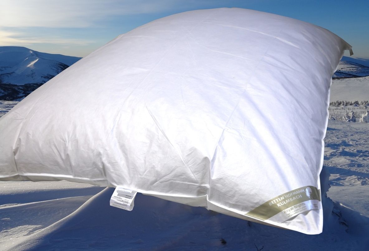 Betten Hofmann Ballonbett Oberbett Federbett Schüttelbett 30% Daunen 135x200 warm 2000g Hofmanns klassisches Oberbett Federbett