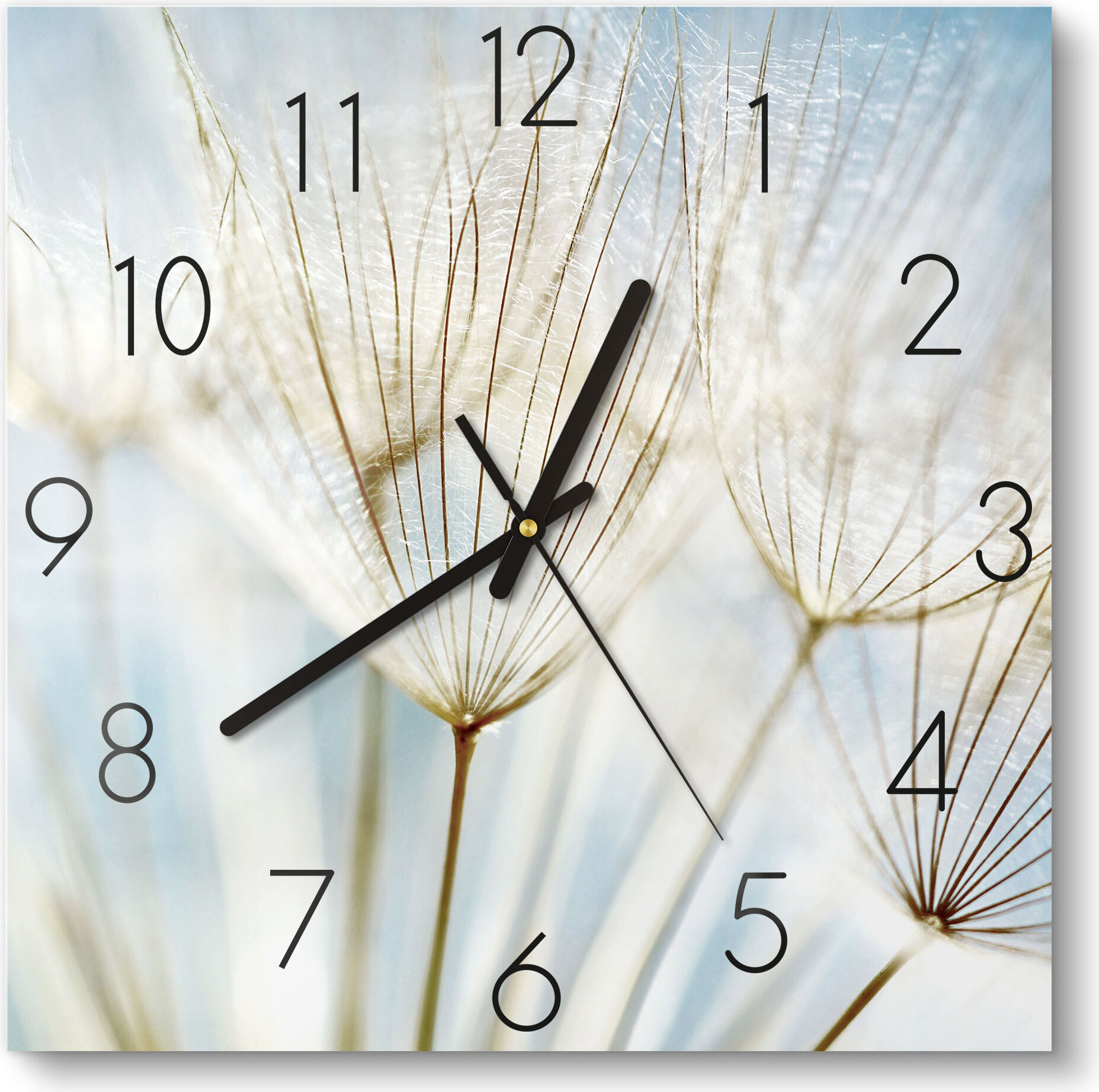 DEQORI Glasuhr 30x30 cm Zahlen 'Löwenzahnsamen nah' Wanduhr Glas Uhr Design leise WC-30-30-N-2447