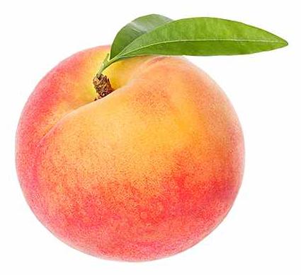 Blumen-Senf Pfirsichbaum 100-125 cm Prunus persica Zwergpfirsich Pfirsich