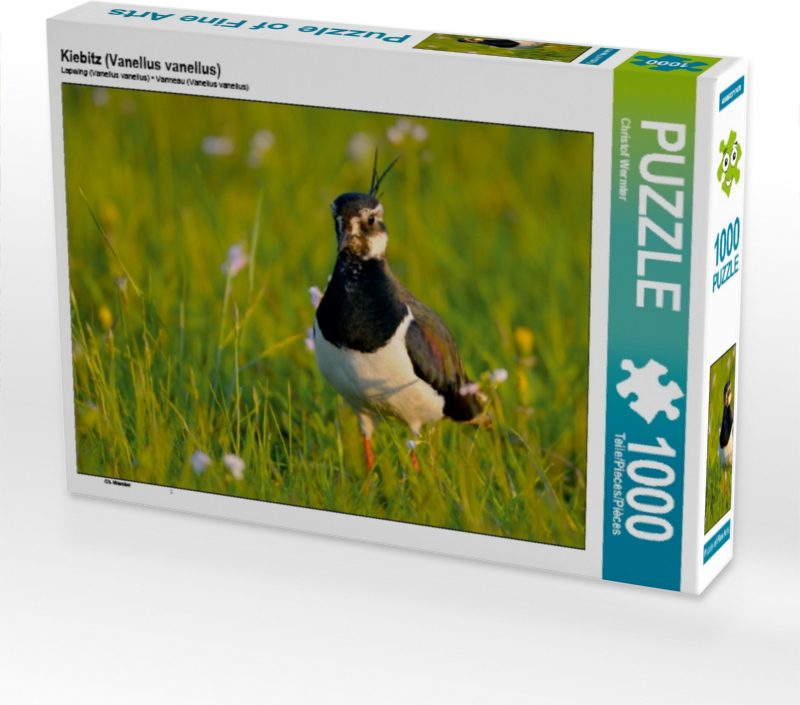 Calvendo Kiebitz (Vanellus vanellus) 1000 Teile Puzzle quer 640x480mm, Wermter Christof; 7349948