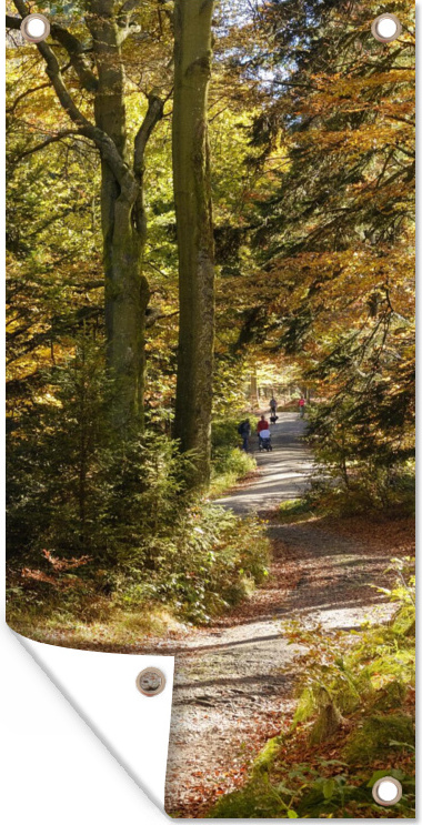 MuchoWow® 30x60 cm Outdoor-Poster Gartendeko Sichtschutz Garten Poster für den Garten Waldlehrpfad im Nationalpark Bayerischer Wald 133|337255473