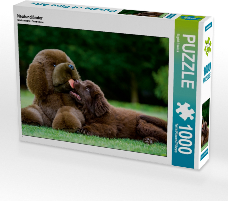 Calvendo Neufundländer 1000 Teile Puzzle quer 640x480mm, Starick Sigrid; 7355252