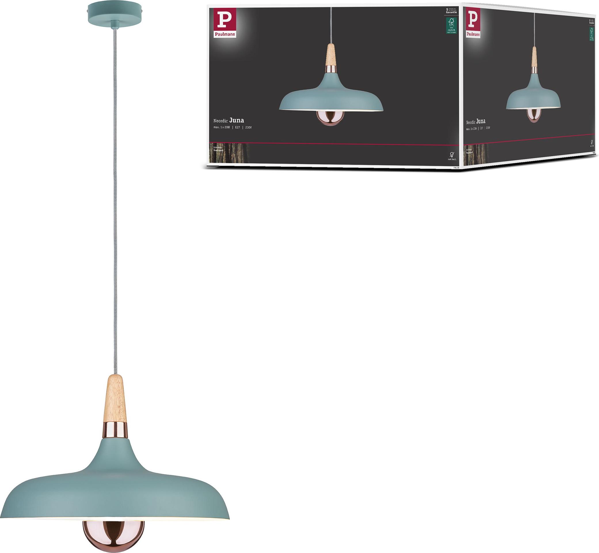 Paulmann Neordic Pendelleuchte Juna 79655