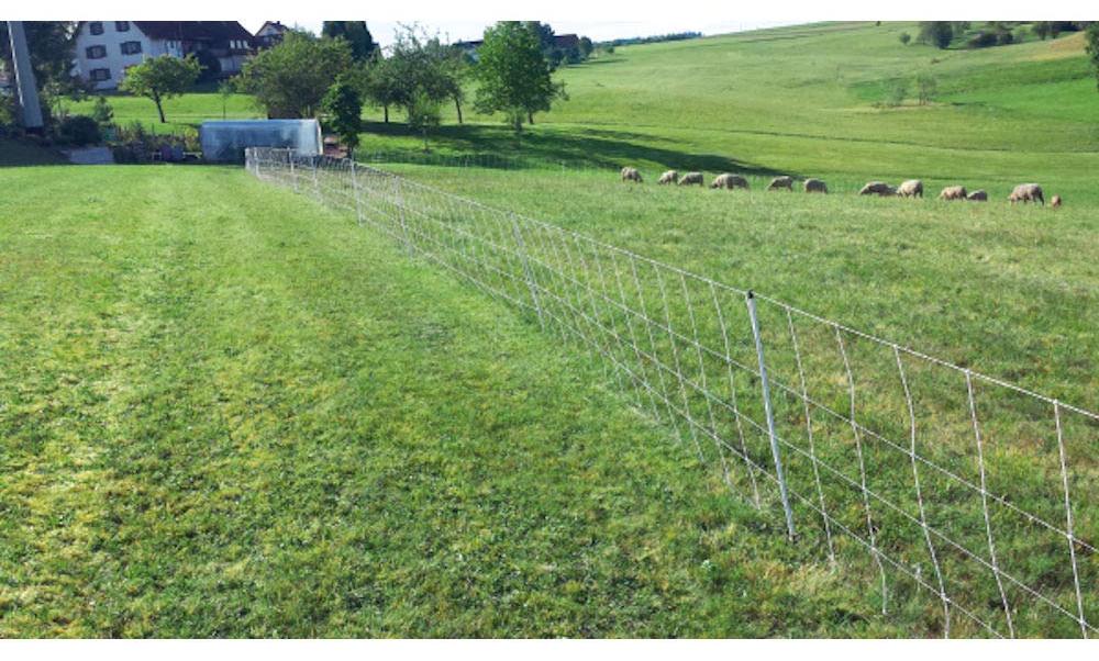 horizont Schafnetz turbomax high energy | 90 cm hoch | 50 m lang | Doppelspitze | elektrifizierbar 14503