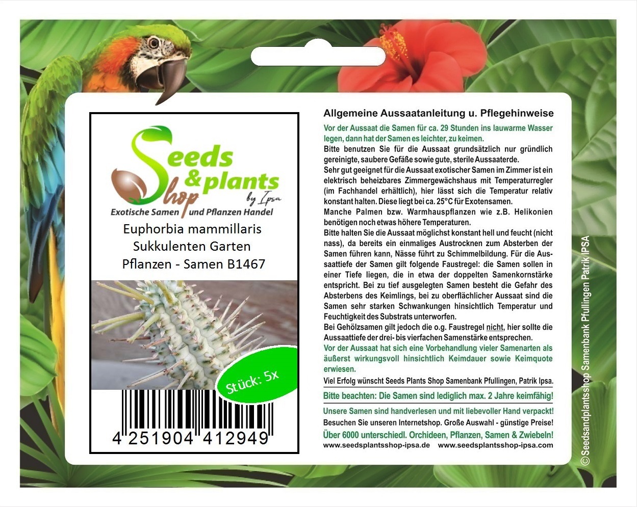 Seeds & Plants Shop by Ipsa 5x Euphorbia mammillaris Sukkulenten Garten Pflanzen - Samen B1467