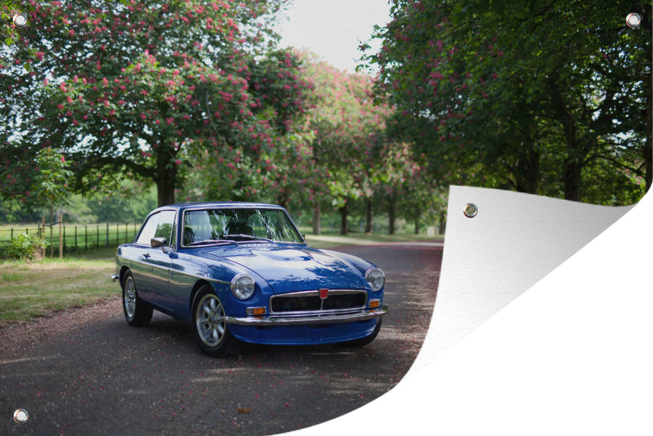 MuchoWow® 90x60 cm Outdoor-Poster Gartendeko Sichtschutz Garten Poster für den Garten Blauer Oldtimer auf einer Straße geparkt 133|17173981