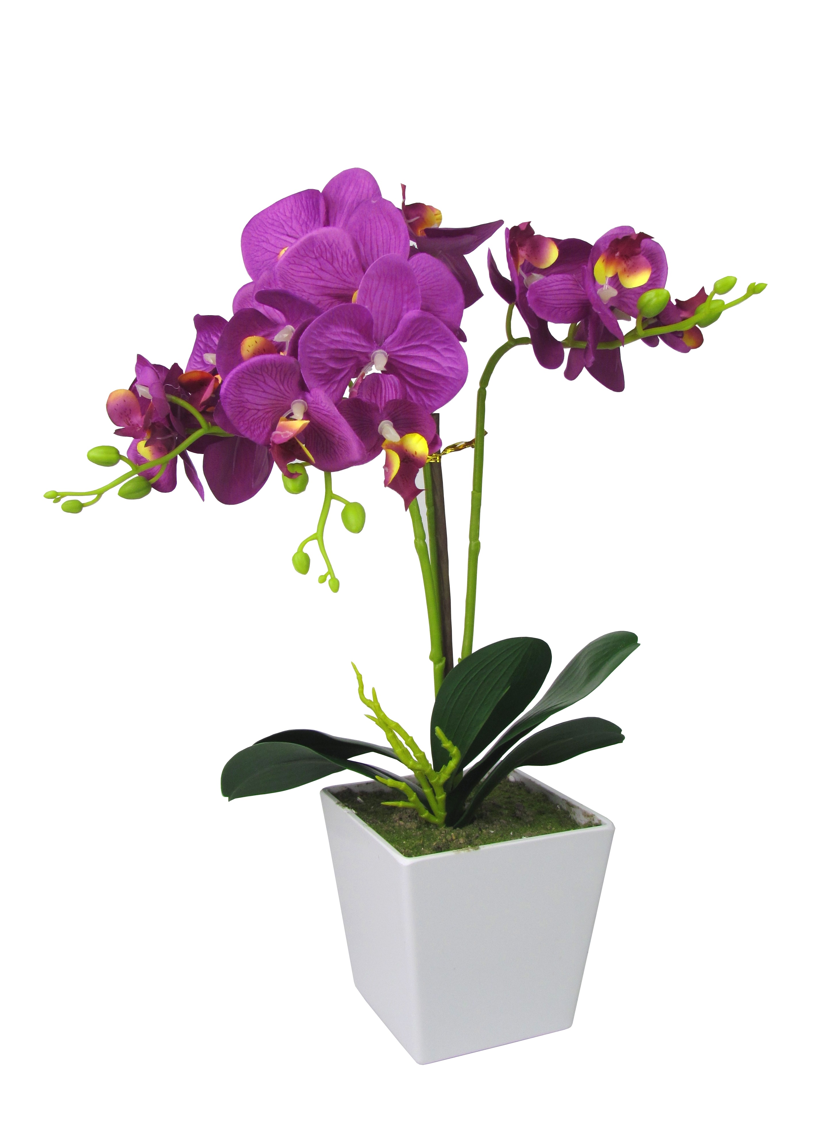Kunst Orchidee im rechteckigen Topf – | Kunstpflanzen