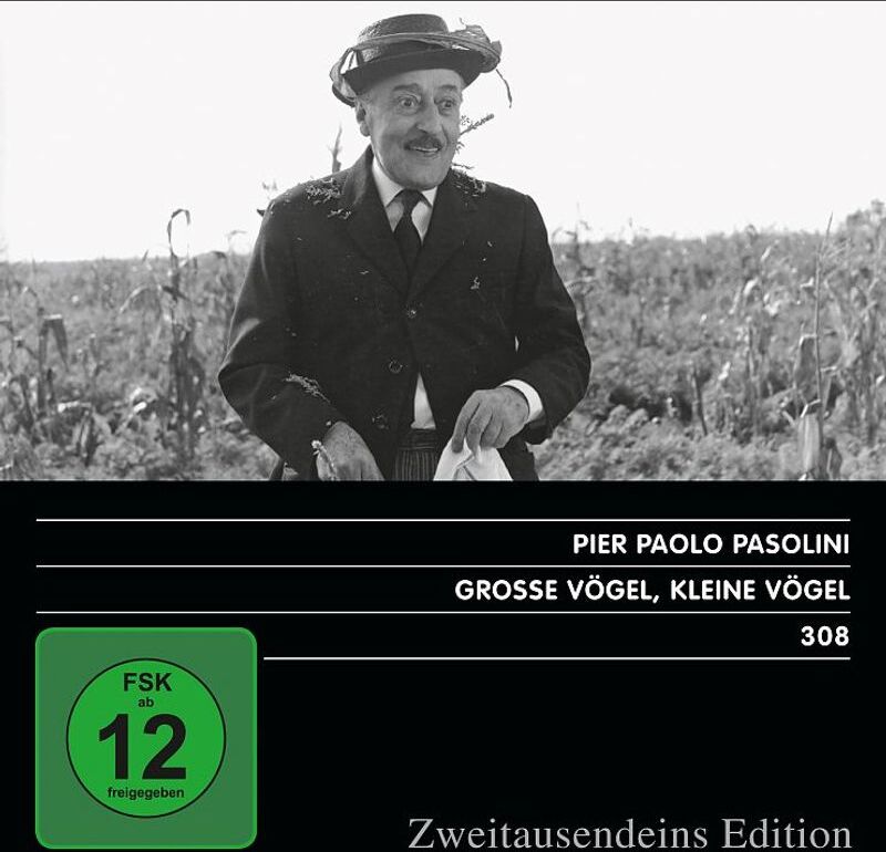ZWEITAUSENDEINS Grosse Vögel, kleine Vögel 717239