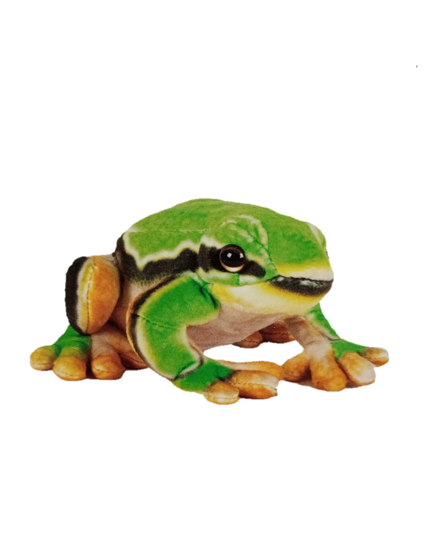 TRIGON DEUTSCHLAND GmbH Plüschtier Laubfrosch 15 cm Frösche Stofftiere Plüschtier Kuscheltier Laubfrösche FGO-06LN03