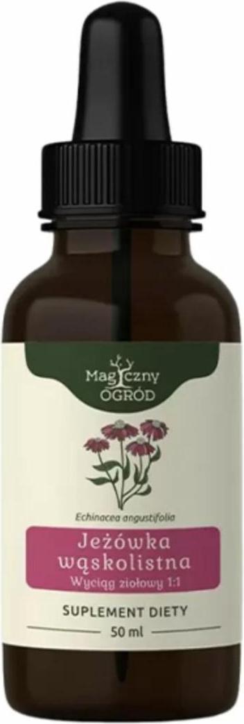 Nanga Echinacea angustifolia Extrakt 1:1 50 ml