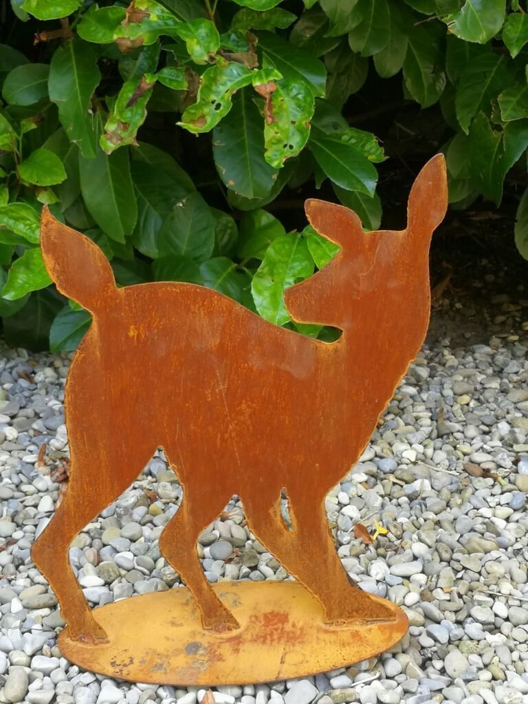 Saremo Edelrost Kitz Antje, nach hinten schauend Kitz Antje - groß