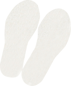 Behr Filzsohlen für Schuhgröße 38/39
