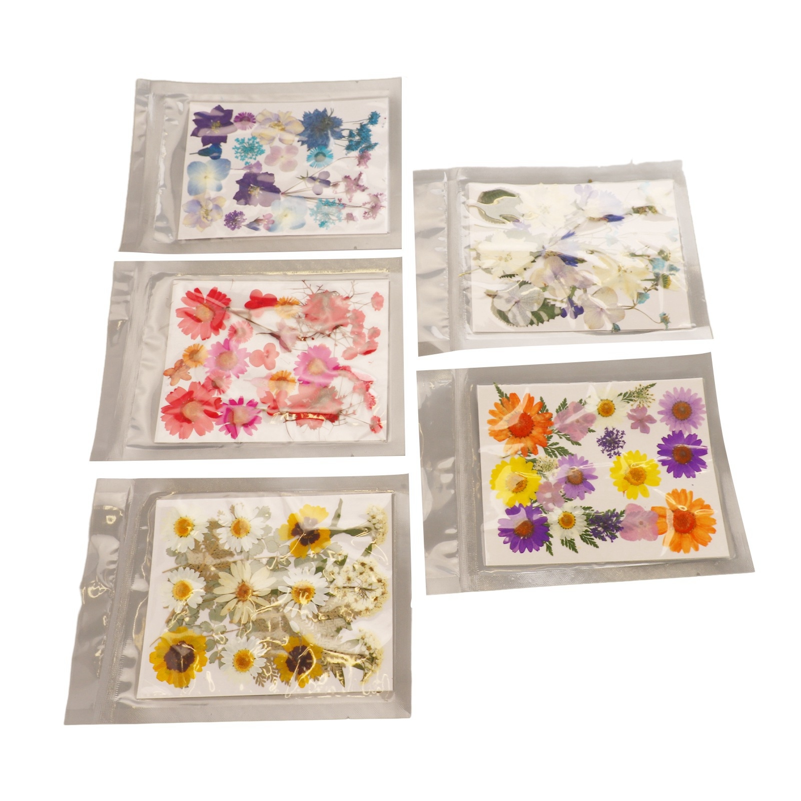 Cocosity Gepresste Blumen,Bunte getrocknete Blumen,Getrocknete gepresste Blumen,Gepresste Blumen Kit,Gepresste trockene Blumen,Getrocknete Blumen für Resin