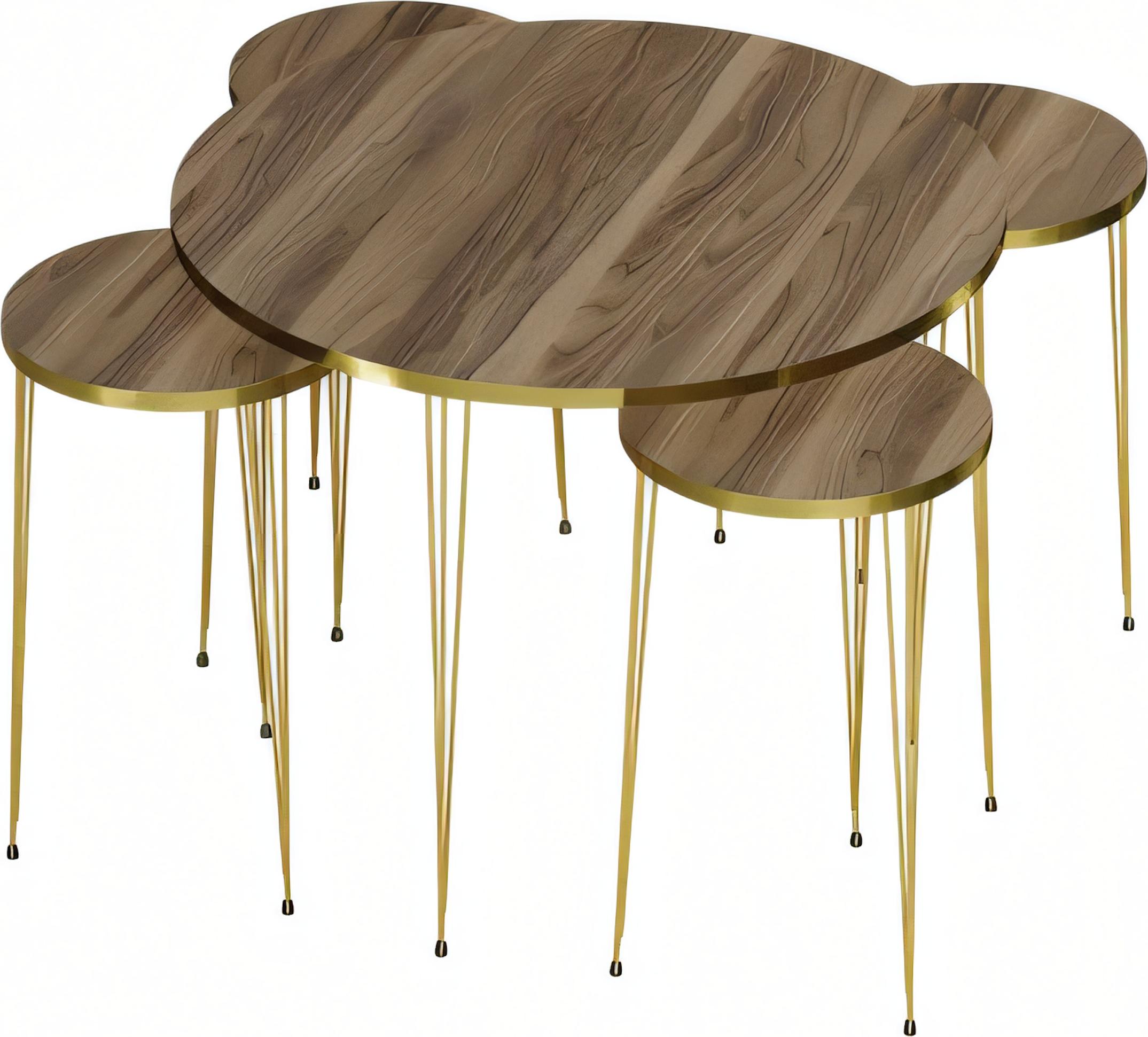 AEA Moderner brauner Holz-Couchtisch mit Beistelltischen, stilvolles
