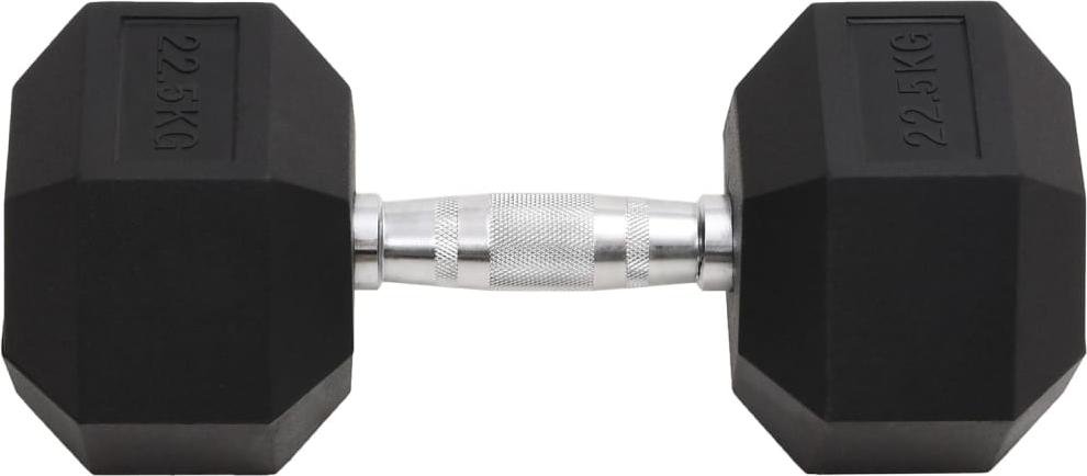 vidaXL Kurzhantel 22,5 kg Gusseisen 93609